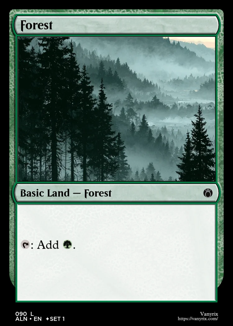 Forest