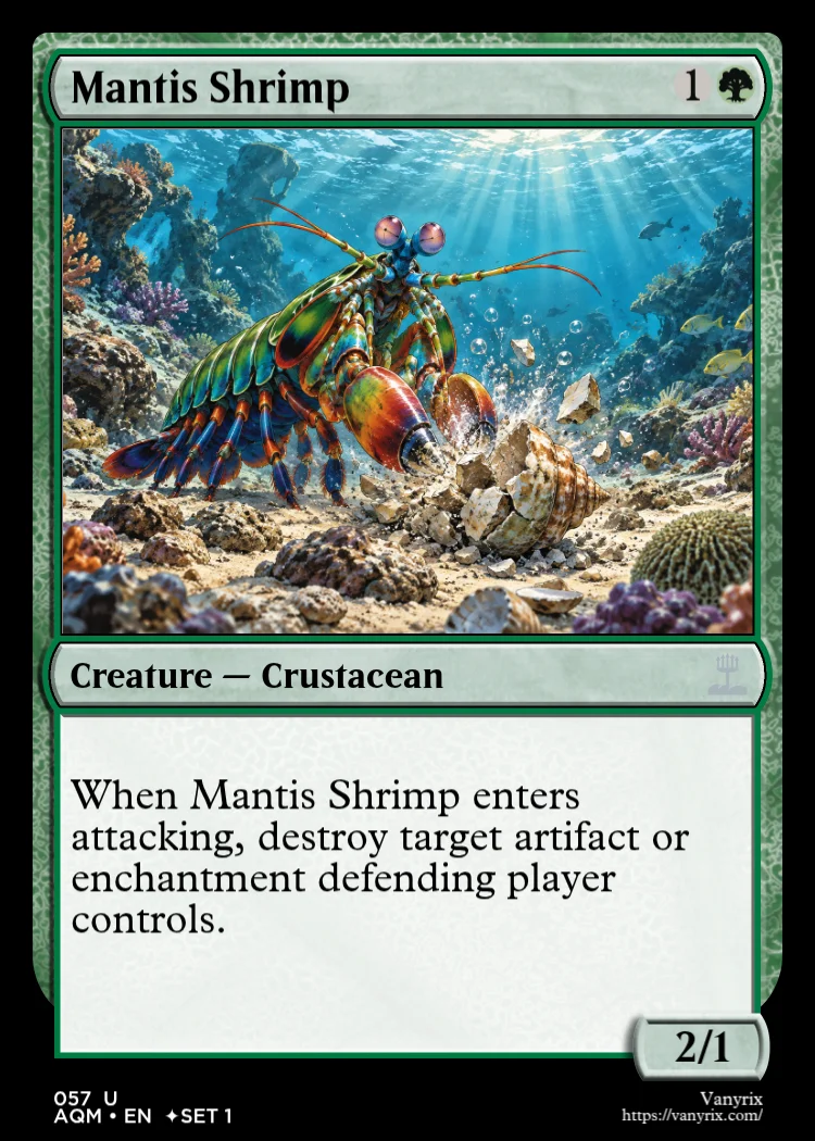 Mantis Shrimp