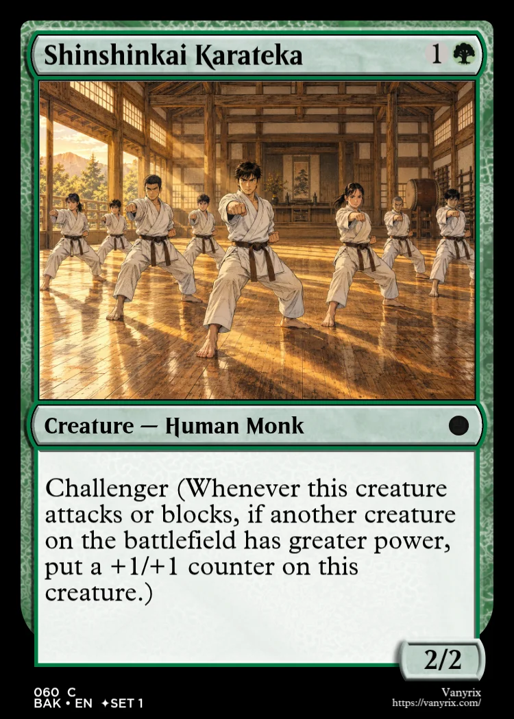 Shinshinkai Karateka