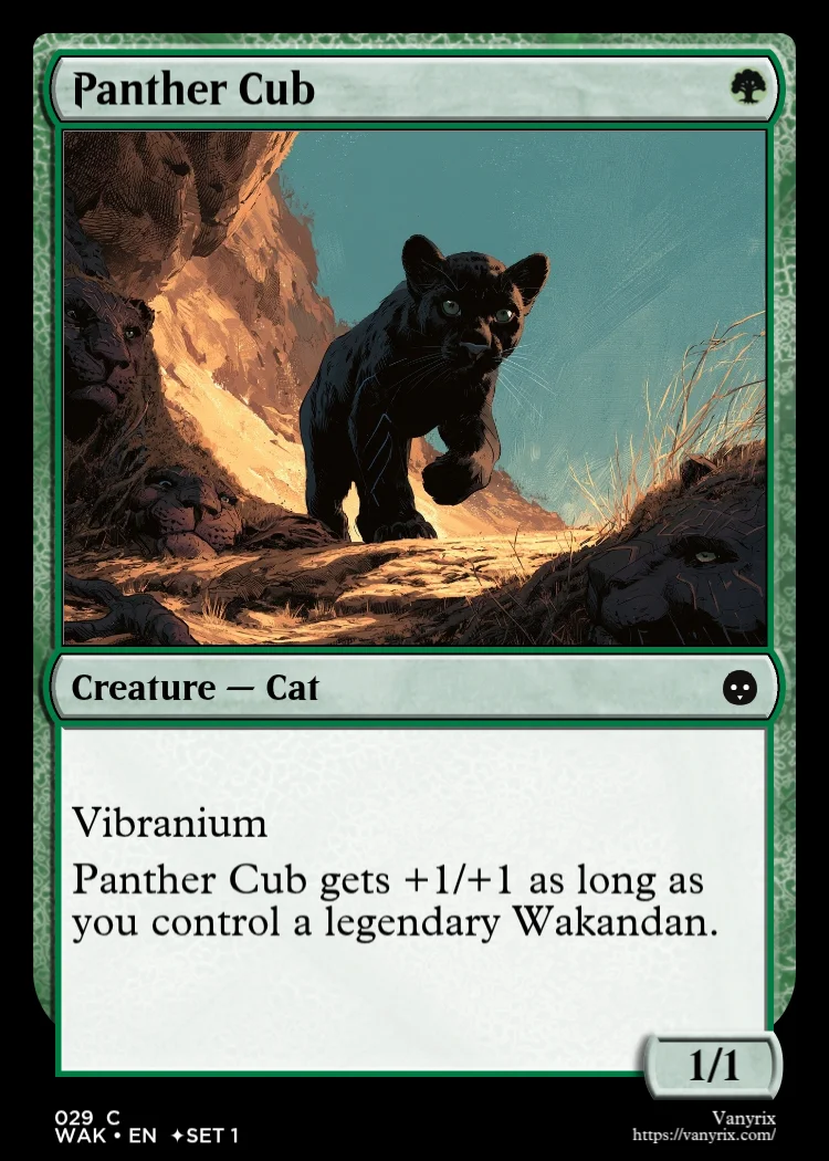 Panther Cub