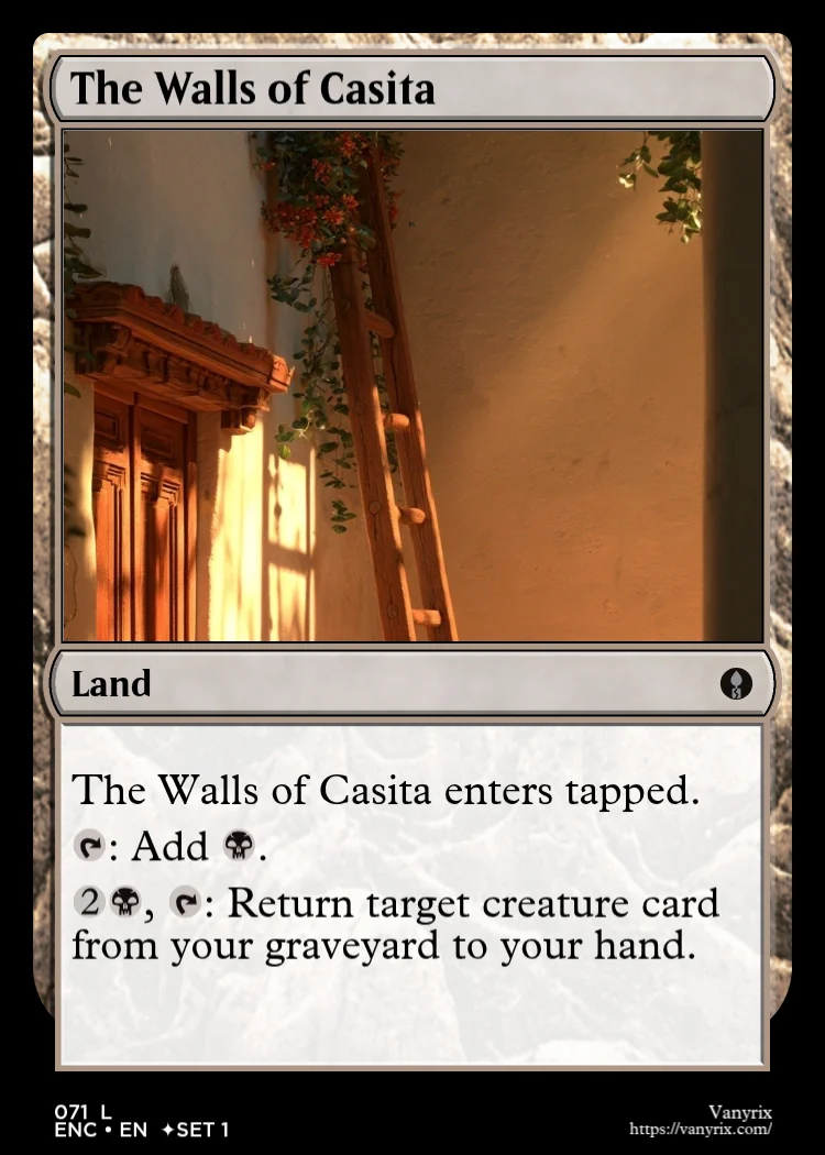 The Walls of Casita
