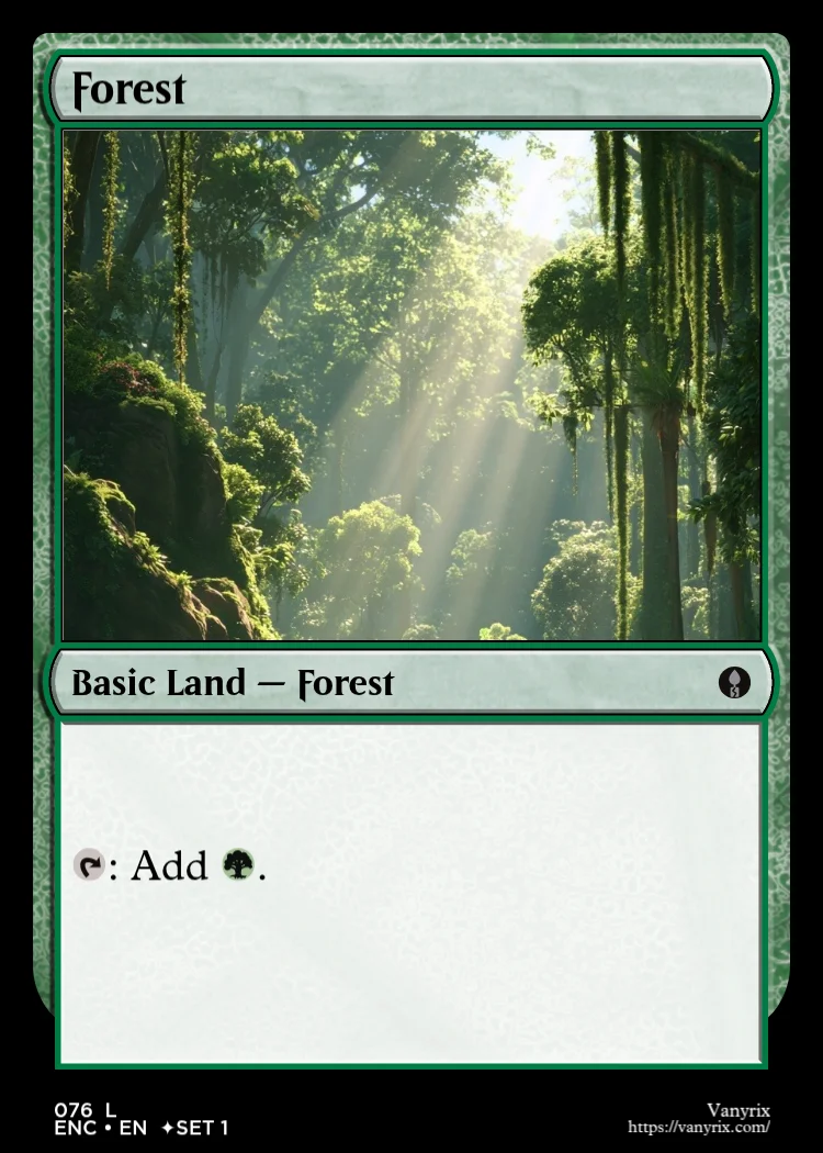 Forest