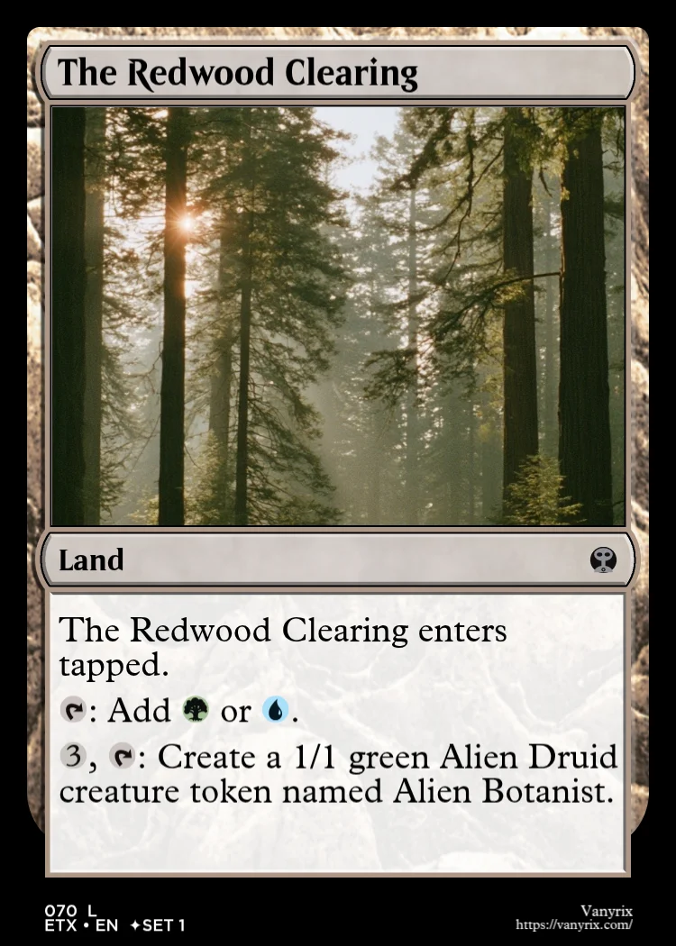 The Redwood Clearing