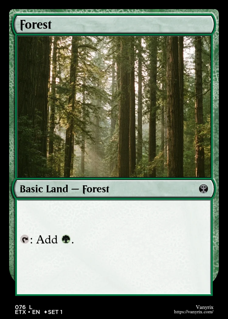 Forest