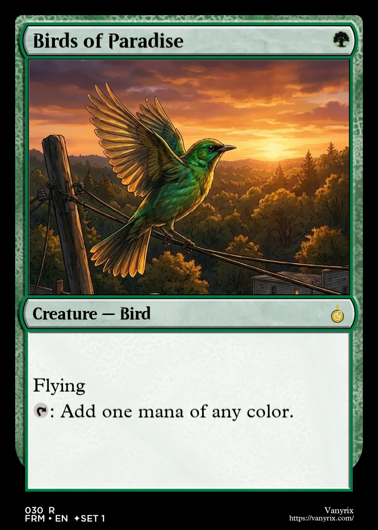 Birds of Paradise
