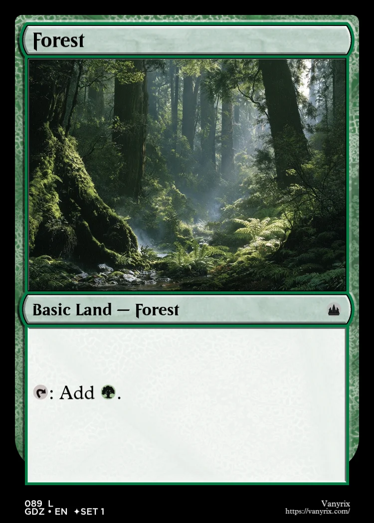 Forest