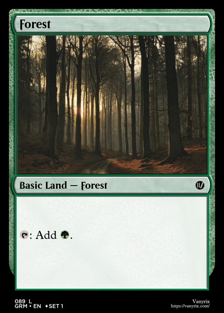 Forest