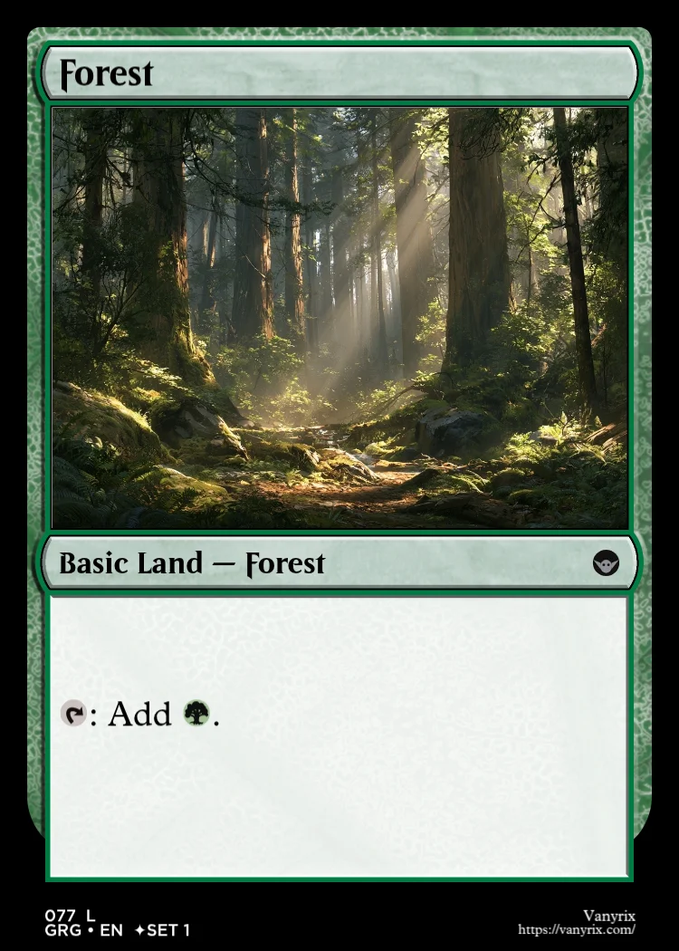Forest