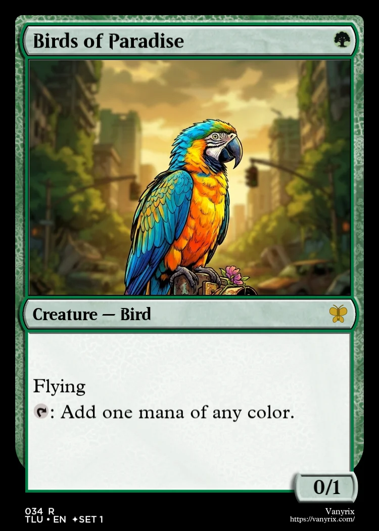 Birds of Paradise