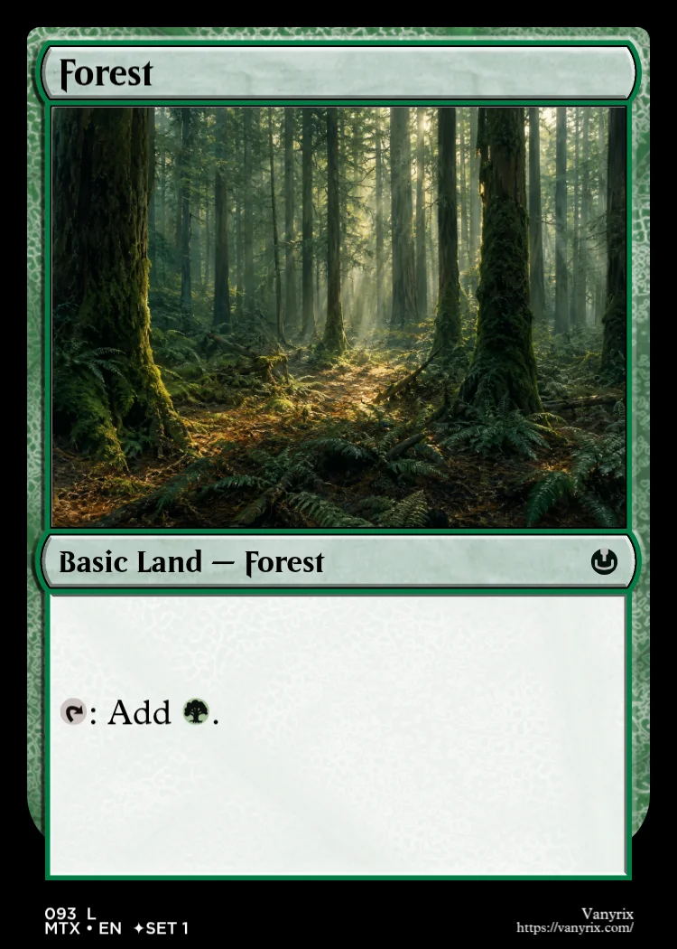 Forest
