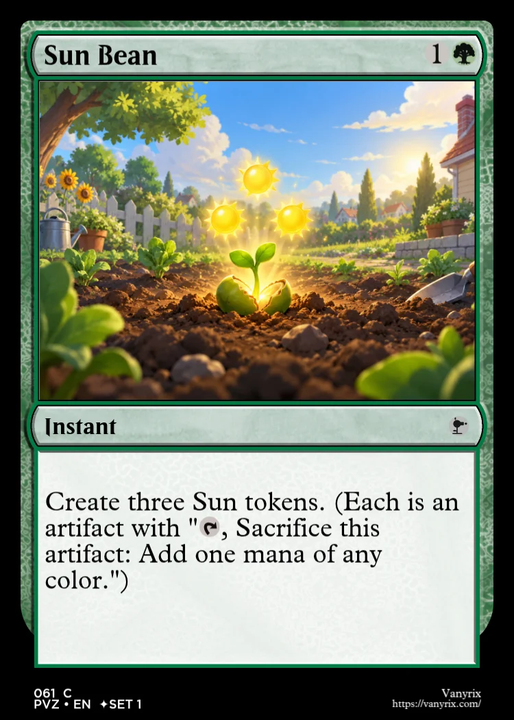 Sun Bean