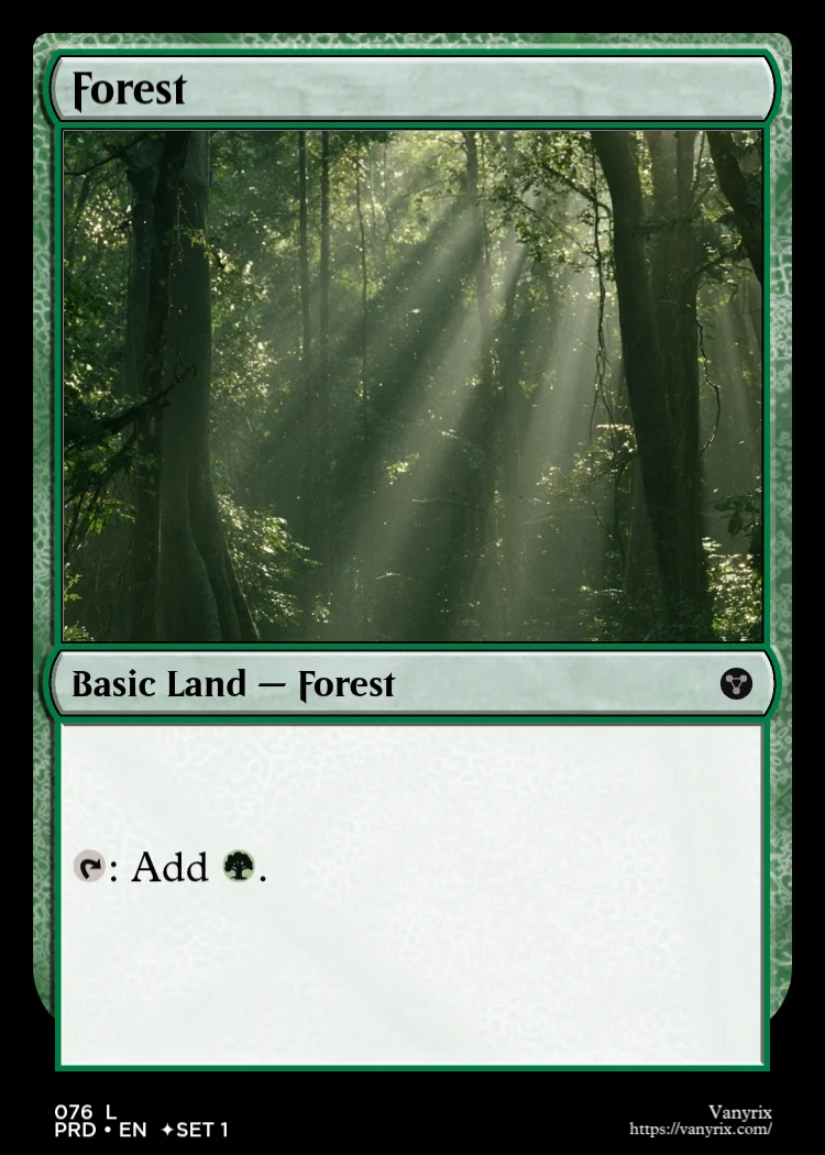 Forest