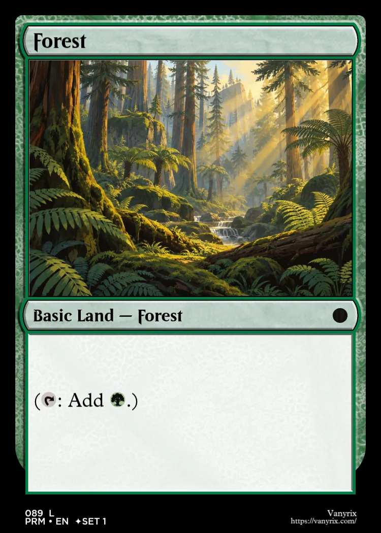 Forest