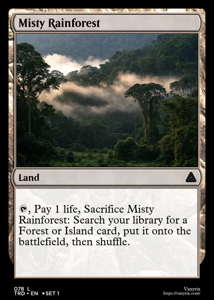 Misty Rainforest