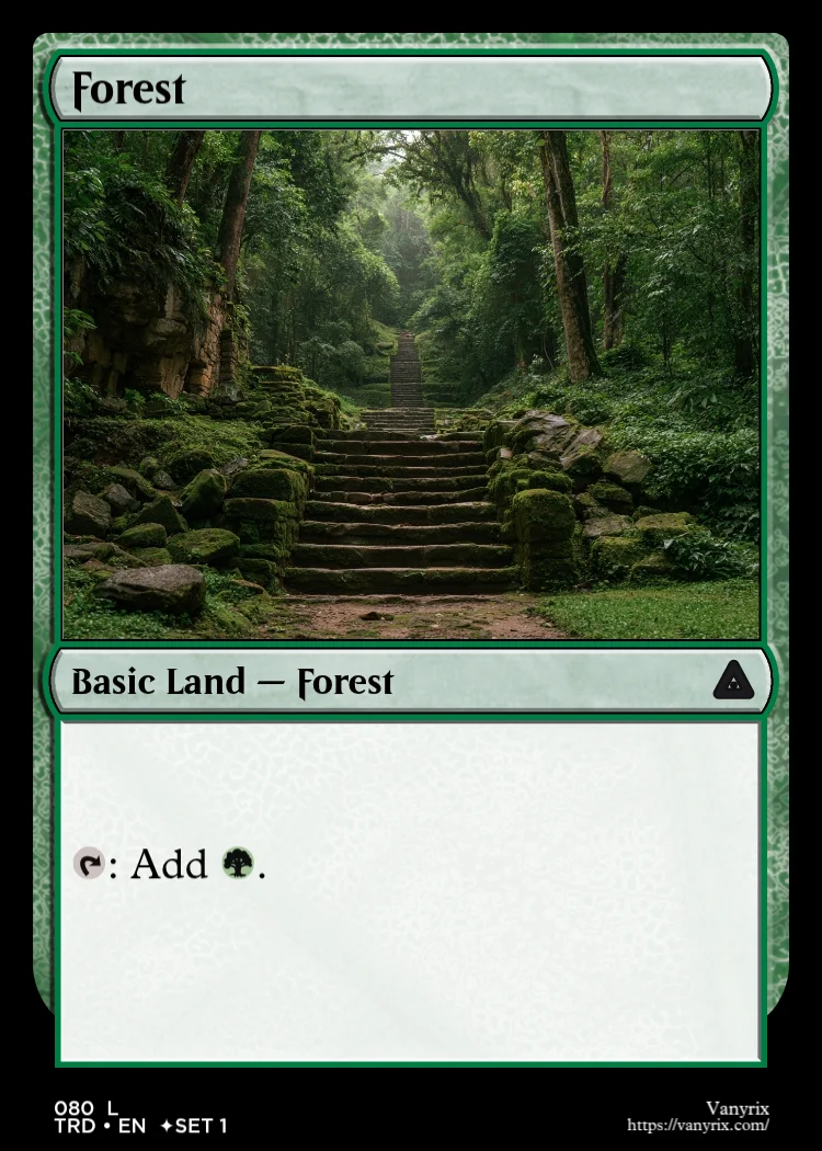 Forest