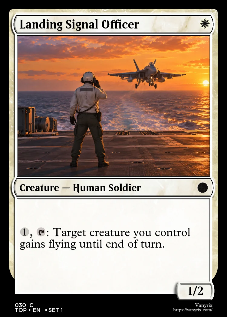 Landing Signal Officer