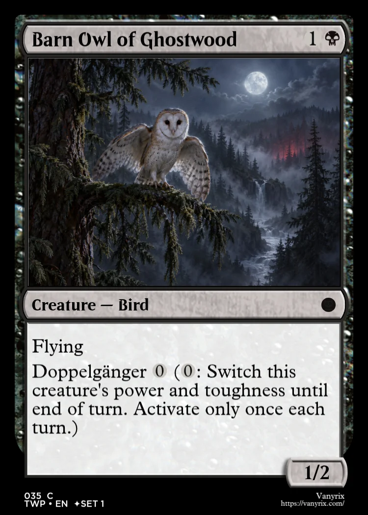 Barn Owl of Ghostwood