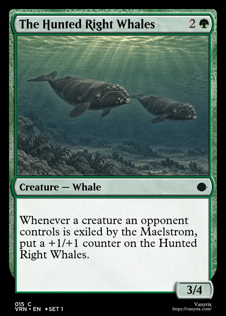 The Hunted Right Whales