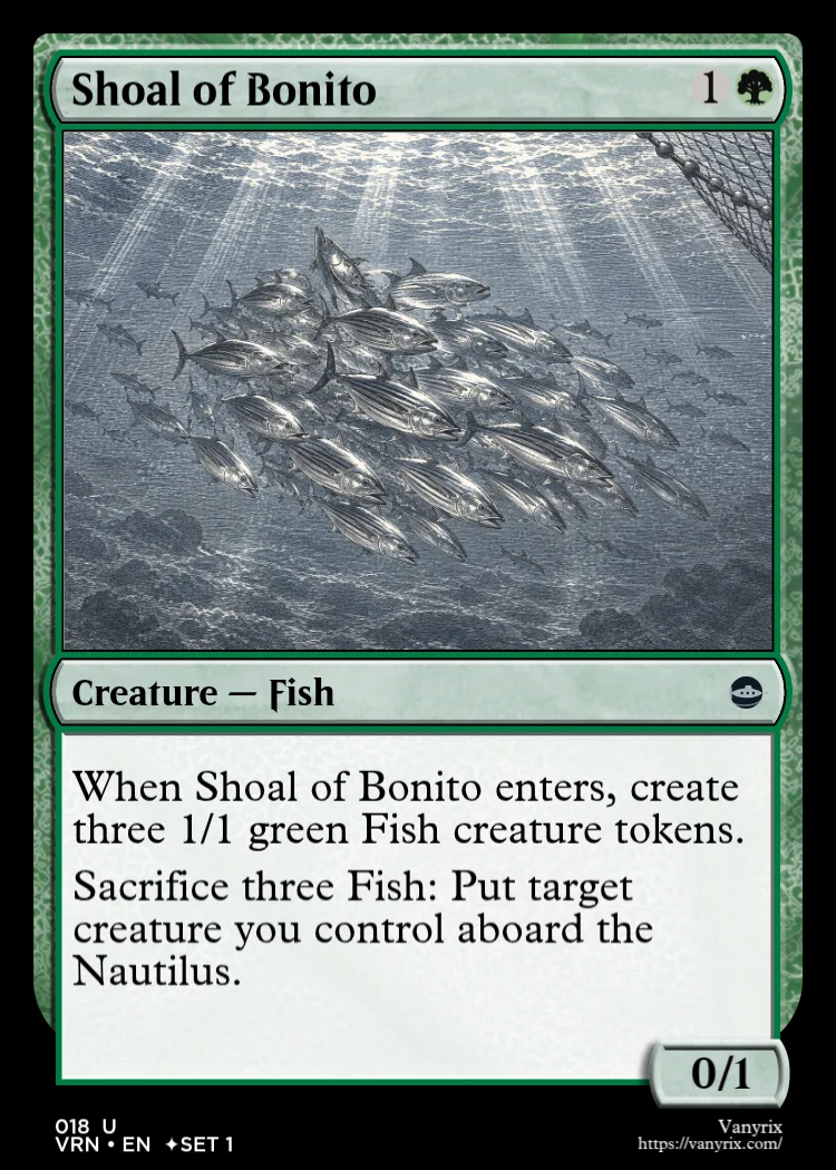 Shoal of Bonito